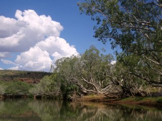 Fitzroy River