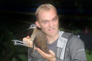 noahtinamou