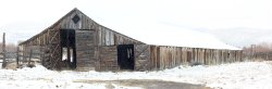P Ranch