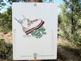 Pacific Crest Trail Sign