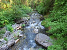 Stream