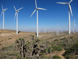 Tehachapi Windmills