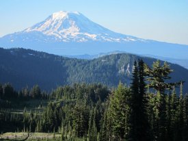 Pacific Crest Trail View