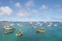 Harbor
