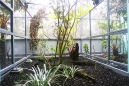 Aviary