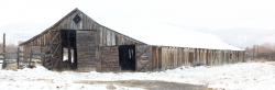 P Ranch