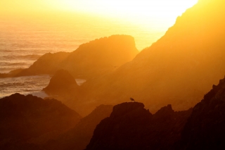 Farallon Sunset