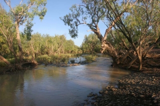 Adcock River