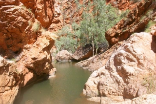 Mt Leake Gorge