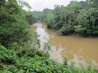 Tiputini River