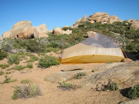 Noah's Tent