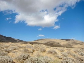 Mesa Wind Farm