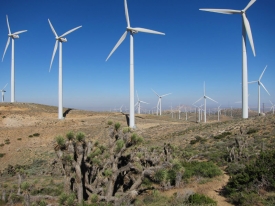 Tehachapi Windmills