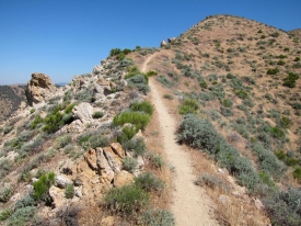 Pacific Crest Trail