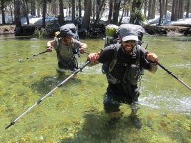 Stream Crossing