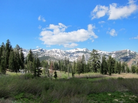 Northern Sierra