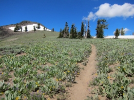 Pacific Crest Trail