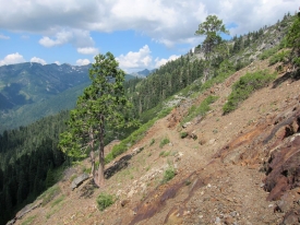 Pacific Crest Trail