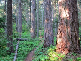 Pacific Crest Trail