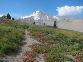 Mount Hood