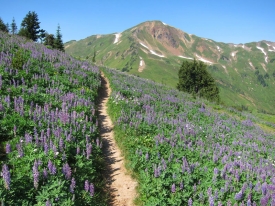 Glacier Peak Wilderness