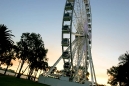Perth Wheel