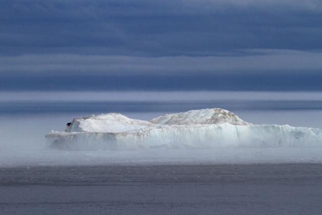Iceberg