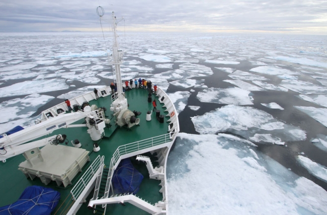 Sea Ice